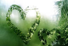 sheng game胜游亚洲:要休息幾天!毒蛇38分大勝對手復仇成功!惠特摩爾19投僅中5拿到14分外加10籃板5失誤.